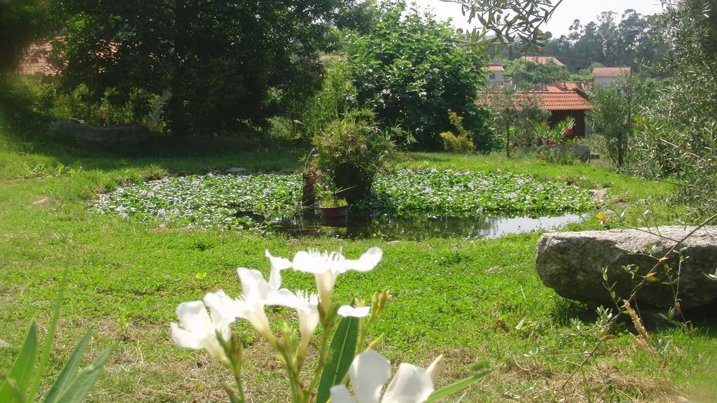 Vila Quinta Do Riacho Póvoa de Lanhoso Exteriér fotografie